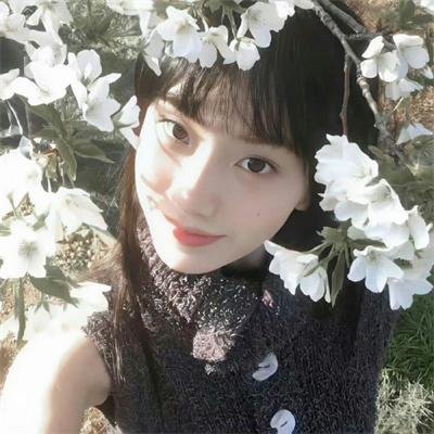 天堂岛疑云第十二季
